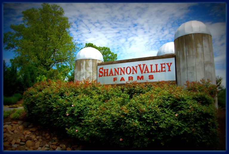 Shannon Valley Farms